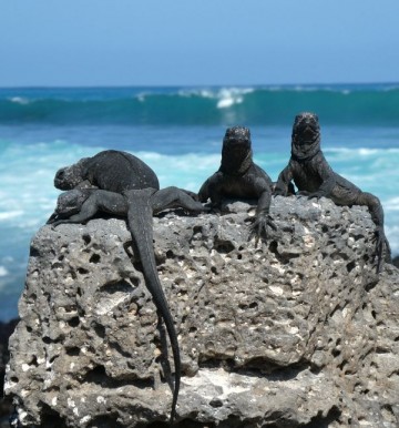 ZIEMIA NA L4: Oddech dla Galapagos