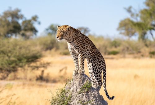 Botswana
