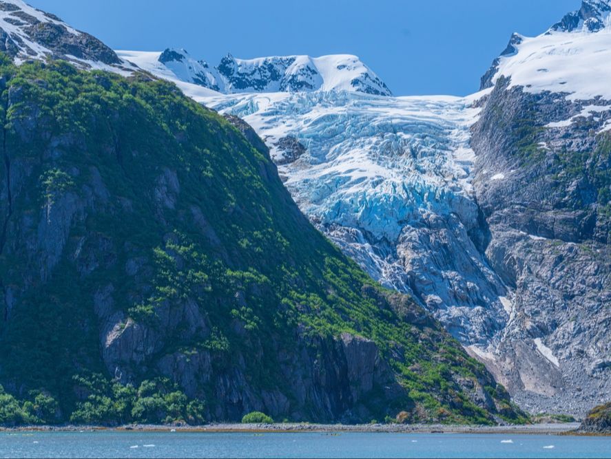 Lodowiec Kenai