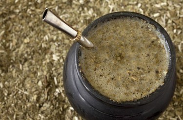 Co to jest Yerba Mate?