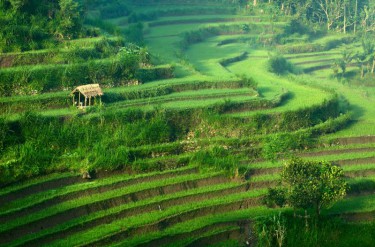 Piloci polecają: Indonezja