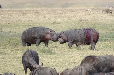 Dla tych chwil podróżuję: Kenia i Tanzania