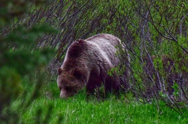 Raport z podróży: Cross USA (maj 2018)