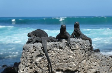 ZIEMIA NA L4: Oddech dla Galapagos