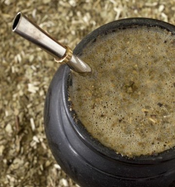 Co to jest Yerba Mate?