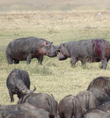 Dla tych chwil podróżuję: Kenia i Tanzania