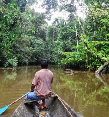 W Sercu Amazonii - lekcja cierpliwości w dżungli