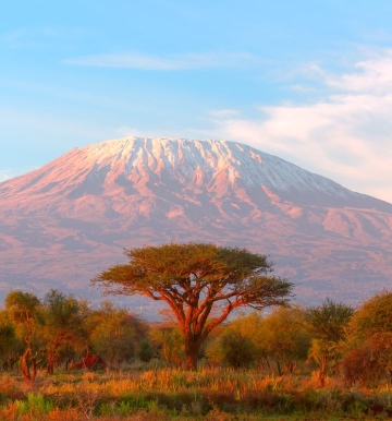 Wiza do Tanzanii - instrukcja wypełnienia wniosku krok po kroku