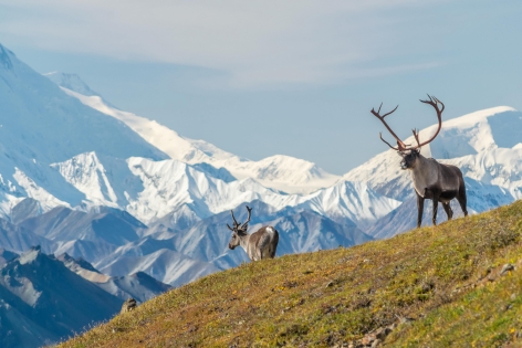 ALASKA fly&drive