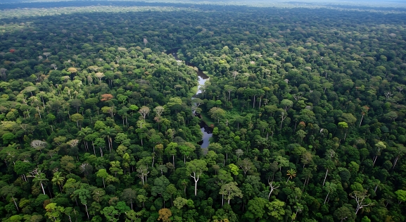 BRAZYLIA - OD IGUAZU PO AMAZONIĘ