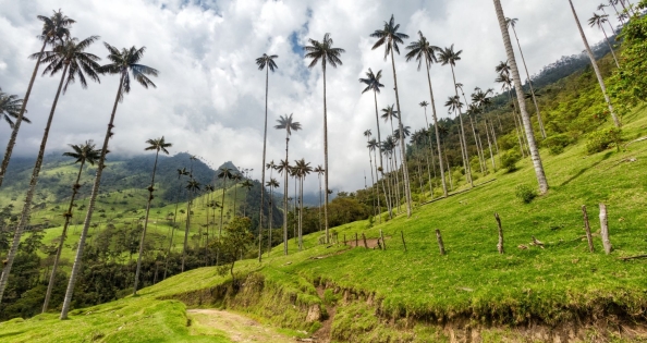 KOLUMBIA: SZUKAJĄC EL DORADO + opcja ZAGINIONE MIASTO